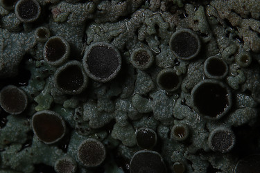 Similar image 10529743