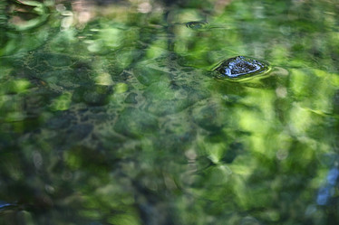 Similar image 10529757