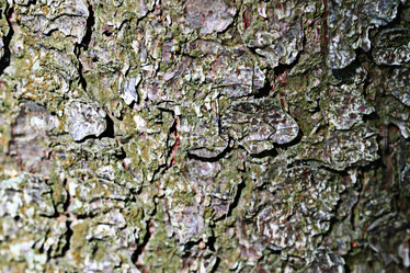 Similar image 10529758