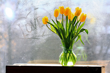 Similar image 10529759