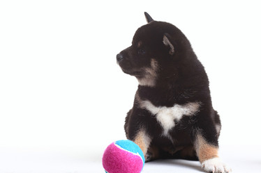 Similar image 10529760