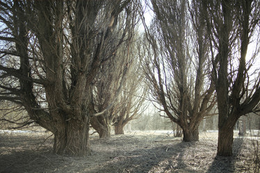 Similar image 10529777