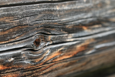 Similar image 10529780