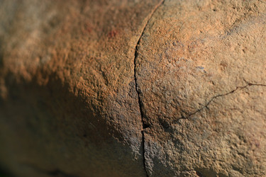 Similar image 10529782