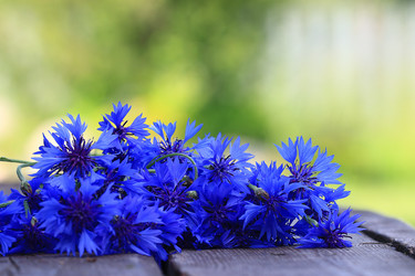 Similar image 10529784