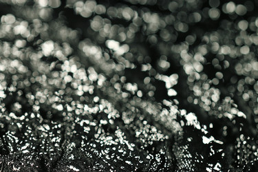 Similar image 10529788