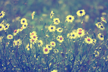 Similar image 10529796