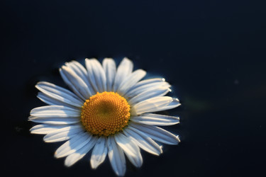 Similar image 10529800