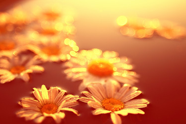 Similar image 10529803