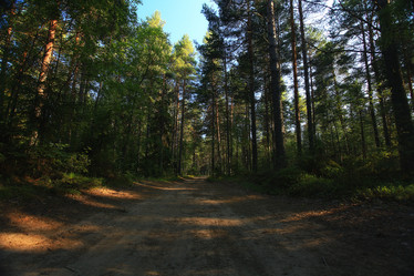 Similar image 10529818