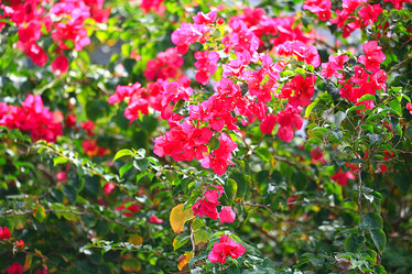 Similar image 10529824