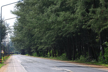 Similar image 10529826