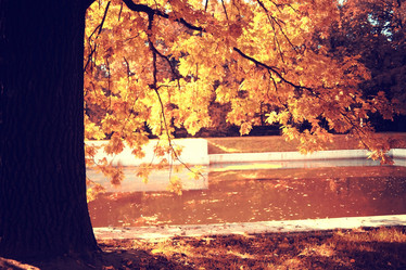 Similar image 10529846