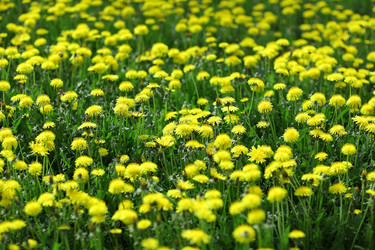 Similar image 10529850