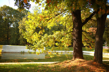 Similar image 10529851