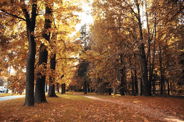 Similar image 10529857