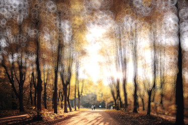 Similar image 10529860