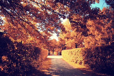 Similar image 10529862