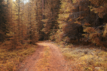 Similar image 10529867