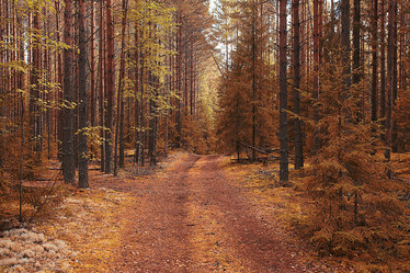 Similar image 10529875