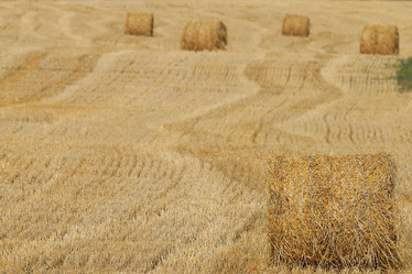 Similar image 10529874