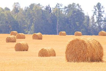 Similar image 10529880