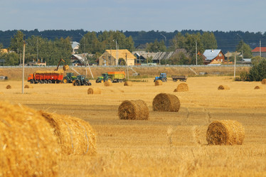 Similar image 10529887