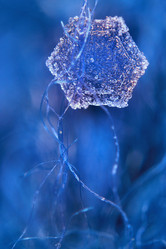 Similar image 10529895