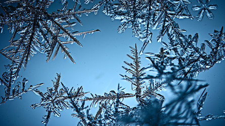 Similar image 10529900