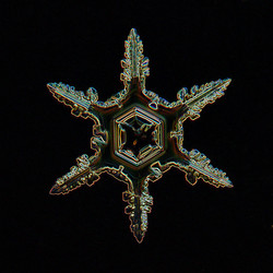 Similar image 10529906