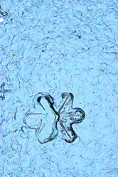 Similar image 10529910