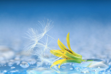 Similar image 10529921