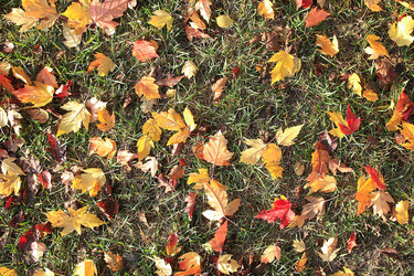 Similar image 10529923