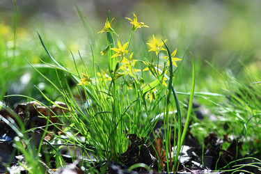 Similar image 10529939