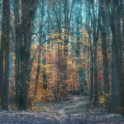 Similar image 10529941