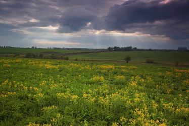 Similar image 10529962