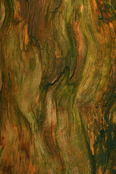 Similar image 10529963