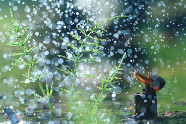 Similar image 10529967