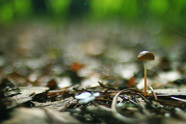 Similar image 10529970