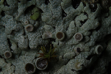 Similar image 10529975