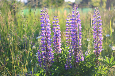 Similar image 10530006