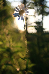 Similar image 10530007