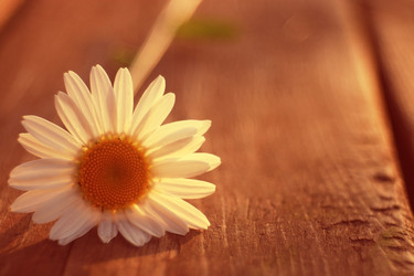 Similar image 10530008