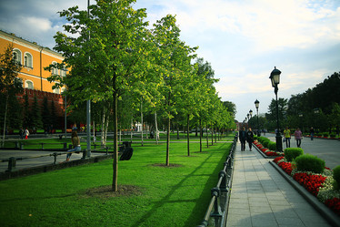 Similar image 10530009