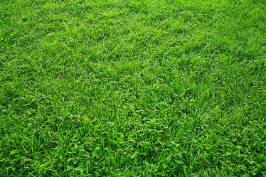 Similar image 10530013