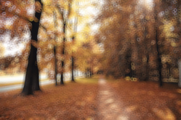 Similar image 10530020