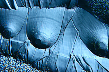 Similar image 10530029