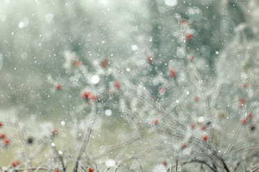 Similar image 10530045