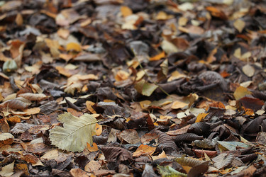 Similar image 10530050