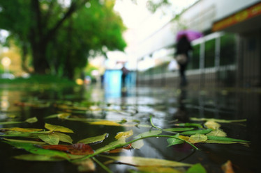 Similar image 10530053